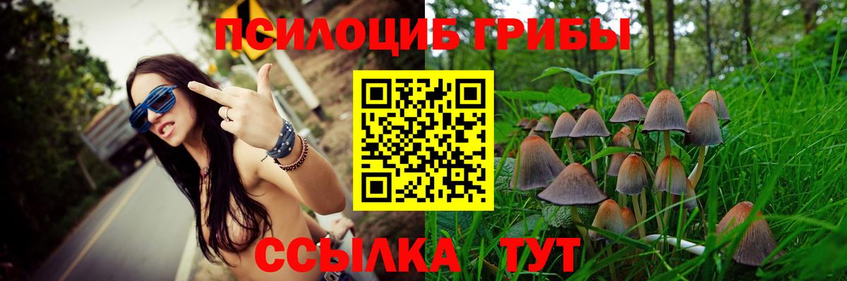 Рыбинск  Псилоцибиновые грибы MAGIC MUSHROOMS  Галлюциногенные грибы Cubensis  Вход с VPN 